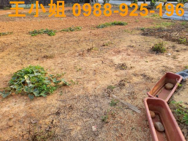 桃園中壢農地-5