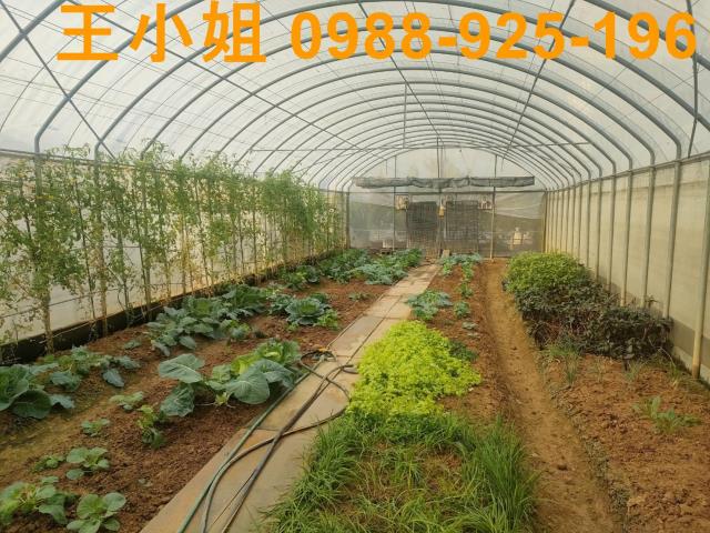 桃園中壢農地-12