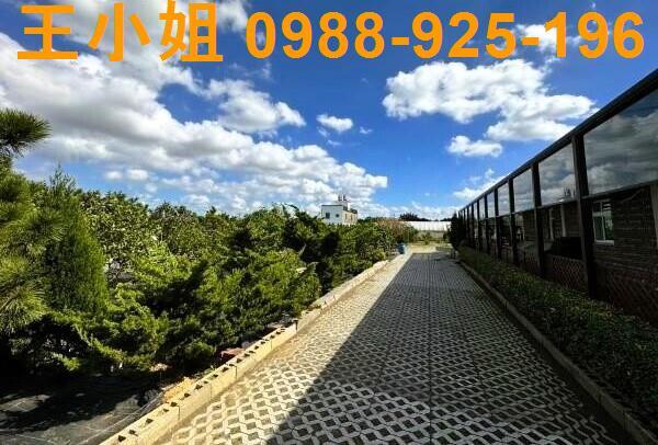 桃園中壢農地-7