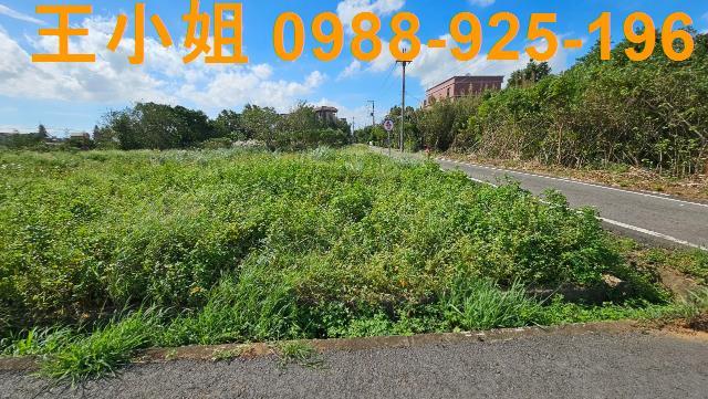 桃園中壢農地-2