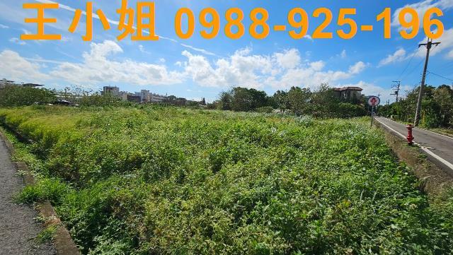 桃園中壢農地-3