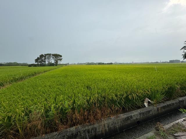 桃園新屋農地-1