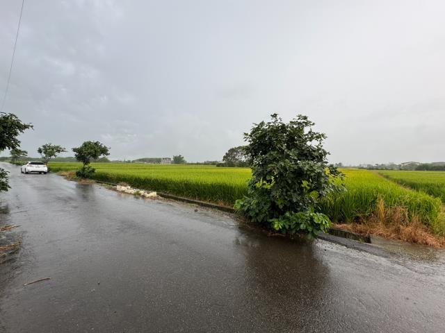 桃園新屋農地-3