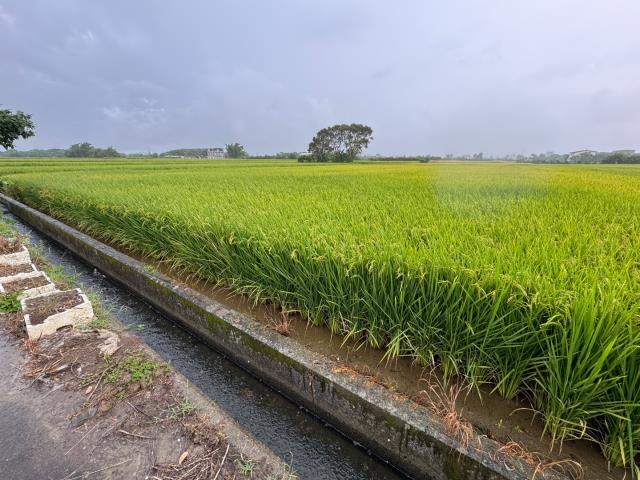 桃園新屋農地-4