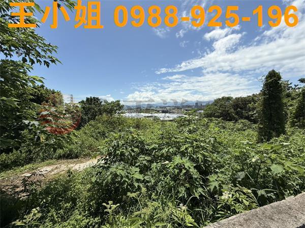 桃園八德農地-2