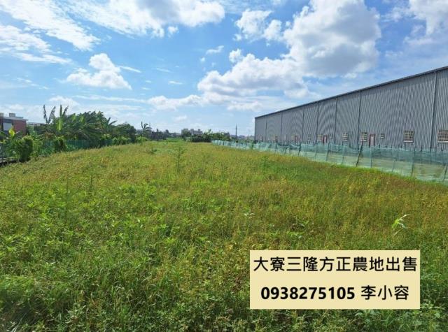 高雄大寮農地-1