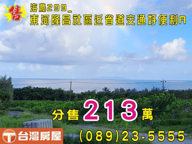 台東農地台東房地產台東土地買賣台東房仲台東仲介縱谷農地