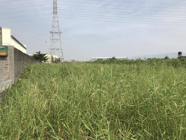 高雄岡山農地-8