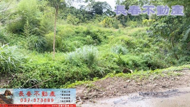 苗栗獅潭農地-2