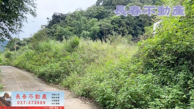 苗栗獅潭農地-4