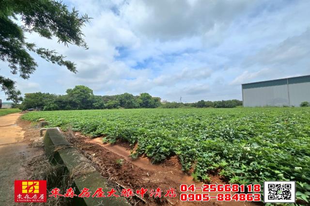 神岡大面寬美農地