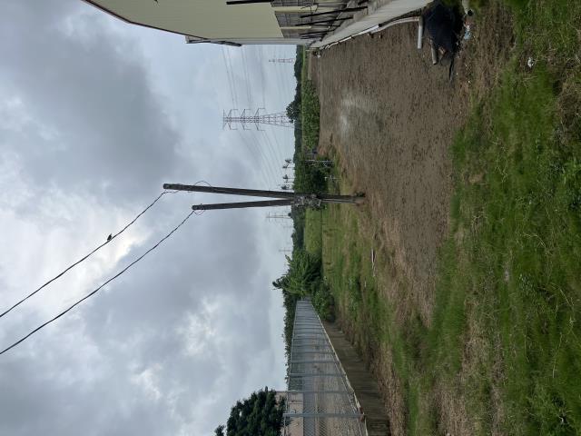 高雄永安農地-3