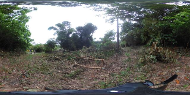 高雄燕巢農地-11