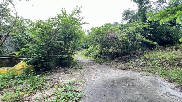 高雄燕巢農地-0