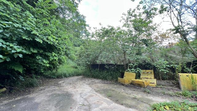 高雄燕巢農地-1