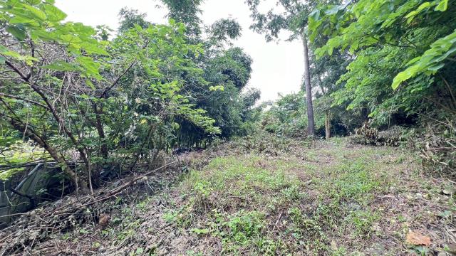 高雄燕巢農地-2