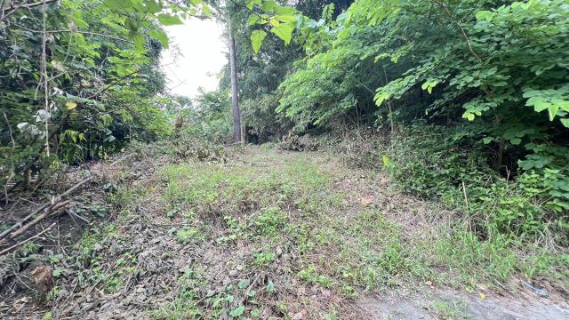 高雄燕巢農地-4