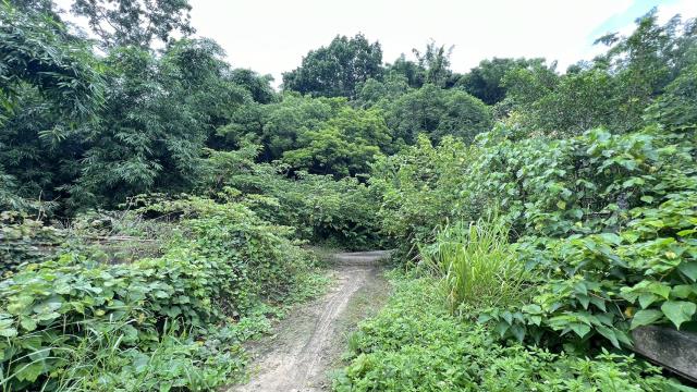 高雄燕巢農地-5