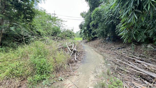 高雄燕巢農地-6