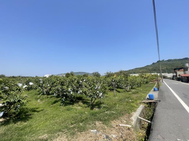 岡山農地-2