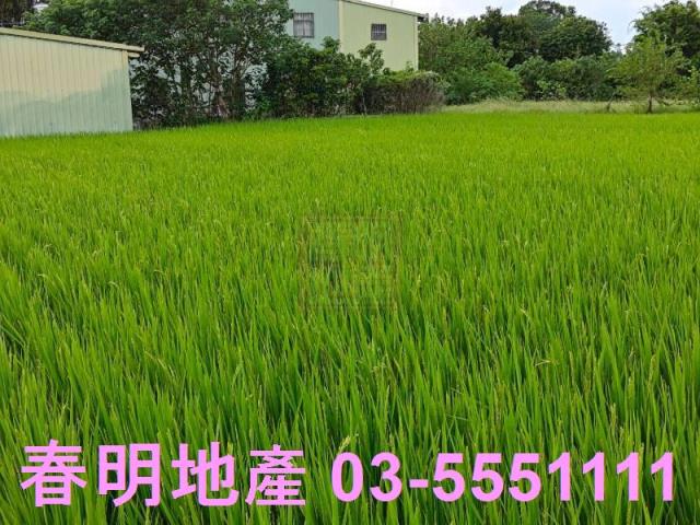 新竹農地-2