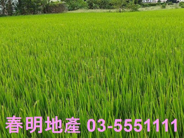 新竹農地-3