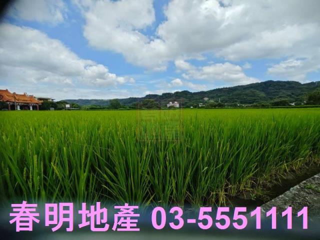 新竹農地-6