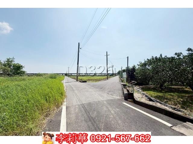 楠西國小世外桃源樟樹福木桃花心木園區