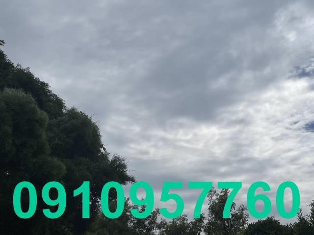 桃園新屋農地-2