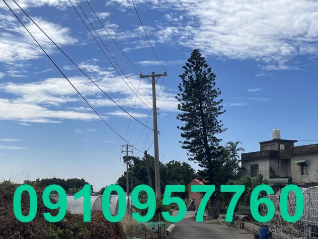 桃園新屋農地-3