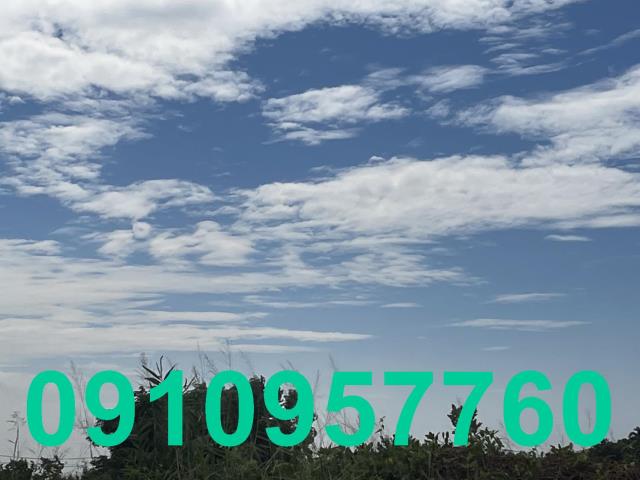 桃園新屋農地-4