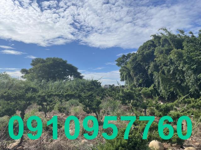 航空城市府二期八股段徵收農地出售