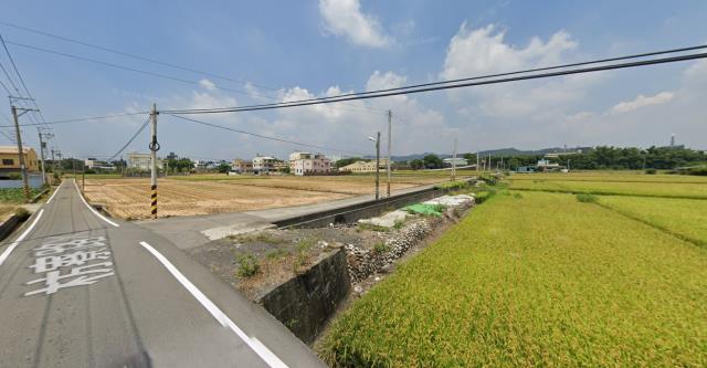 大安區東西二路農地種植經濟農作物果樹