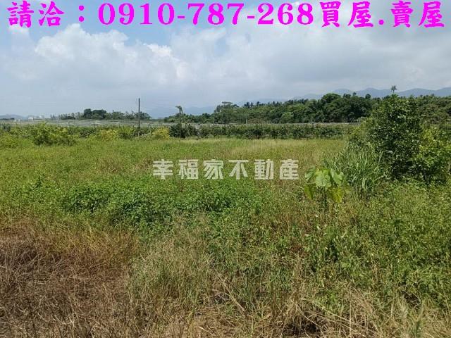 台南農地-9