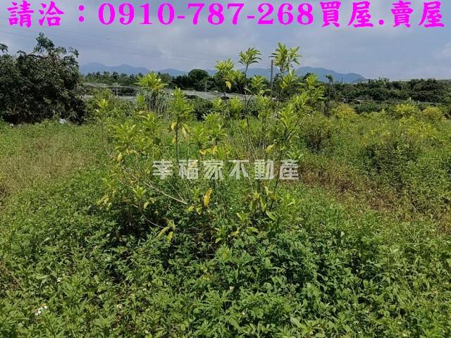 台南農地-7