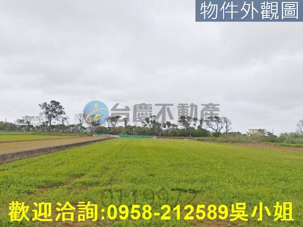 新竹新豐農地-12