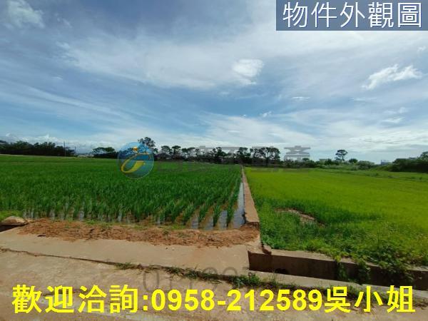 新竹新豐農地-5