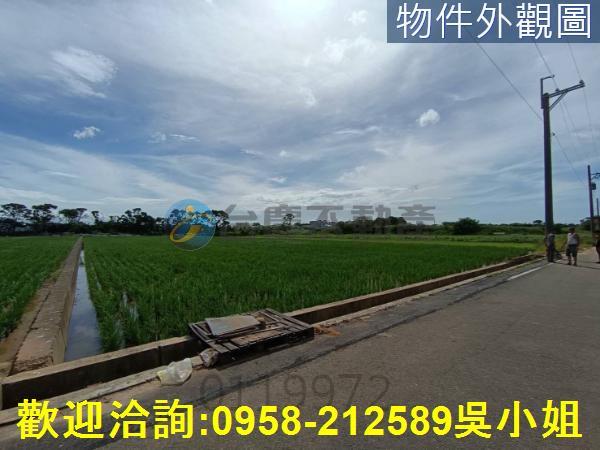 新竹新豐農地-8