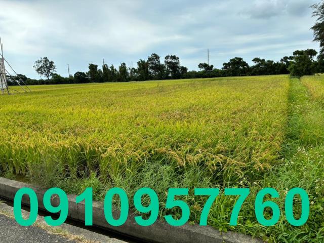 平鎮中豐路農地建地出售