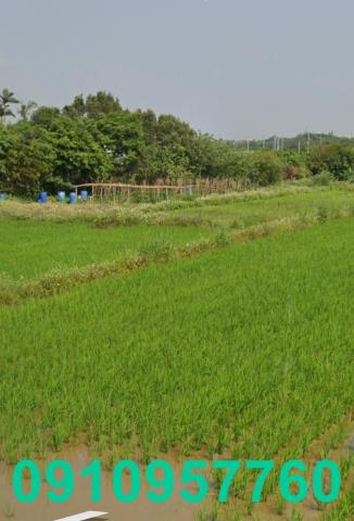 觀音三角窗農地