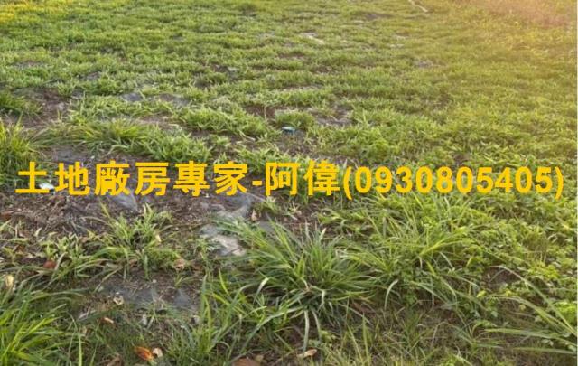 高雄岡山農地-0