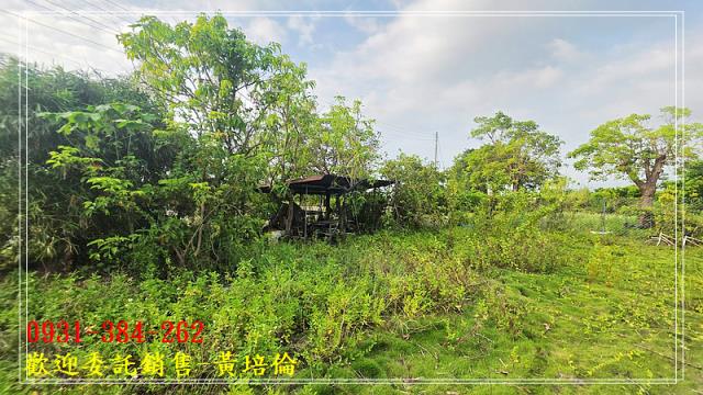 台南培倫房屋土地王,