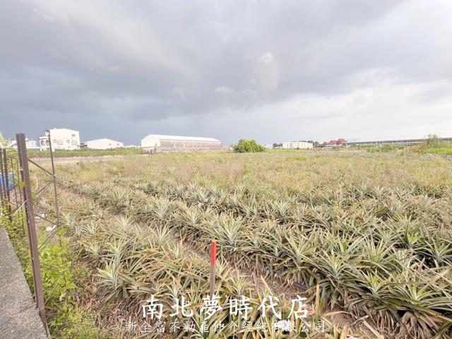 台南新化農地-7
