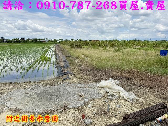 台南柳營農地-11