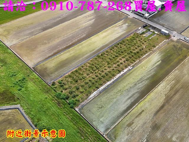台南柳營農地-3