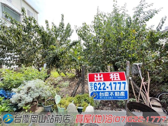 高雄阿蓮農地-14