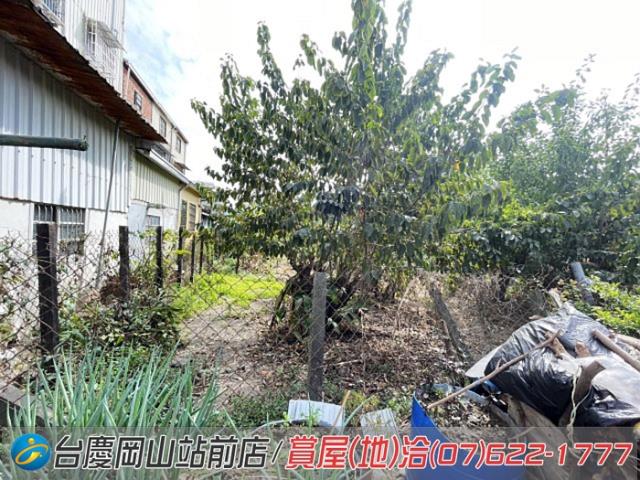 高雄阿蓮農地-2