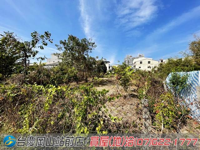 高雄阿蓮農地-3