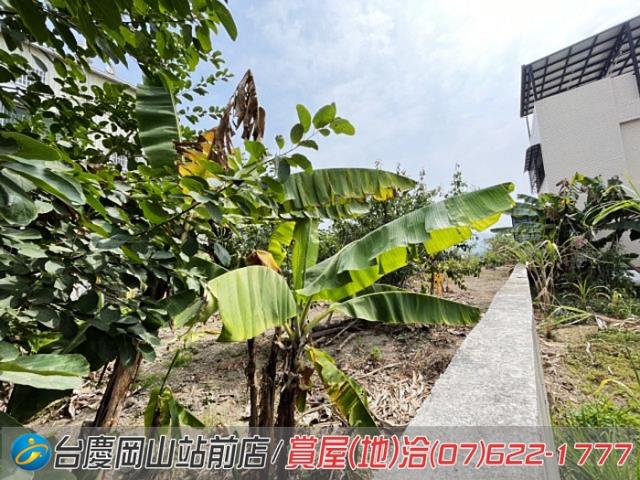 高雄阿蓮農地-7