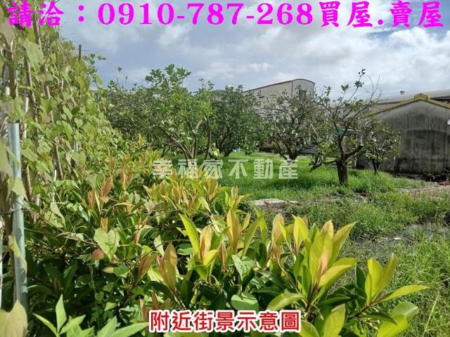 台南麻豆農地-5